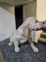 processed/ae8e7051-25e3-4fc8-b5aa-380e72886694/listing/a2b6b24c-127a-4c5c-9d99-05343f3f7937/5cac970c-1c4d-4366-a667-7b0a6a5b5b89