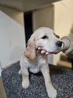 processed/ae8e7051-25e3-4fc8-b5aa-380e72886694/listing/a2b6b24c-127a-4c5c-9d99-05343f3f7937/e4644ce0-192b-4acc-9beb-d5ce0128ab07