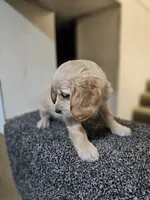 processed/ae8e7051-25e3-4fc8-b5aa-380e72886694/listing/a2b6b24c-127a-4c5c-9d99-05343f3f7937/f43e4ba1-a15f-4ade-8699-6898ccde3dac