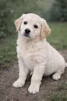 processed/ae8e7051-25e3-4fc8-b5aa-380e72886694/listing/c706fb32-6fb1-4d3b-8fe5-2e4b065d4341/2871acaf-bbe0-4cc5-ac72-c0ccd0649630