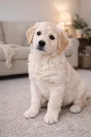 processed/ae8e7051-25e3-4fc8-b5aa-380e72886694/listing/c706fb32-6fb1-4d3b-8fe5-2e4b065d4341/6c83cde5-2d48-470f-abc4-ab0d422a52c7