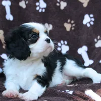 processed/ae91ab19-eda5-42d2-a0b0-9e625e960758/facility/06783621-3df9-4706-8703-b9500f1b4d0d