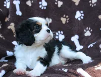 processed/ae91ab19-eda5-42d2-a0b0-9e625e960758/facility/06783621-3df9-4706-8703-b9500f1b4d0d