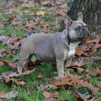 processed/ae91ab19-eda5-42d2-a0b0-9e625e960758/facility/10c83a82-f8d2-4981-a9ad-c9063cbbdc44