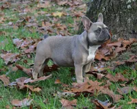 processed/ae91ab19-eda5-42d2-a0b0-9e625e960758/facility/10c83a82-f8d2-4981-a9ad-c9063cbbdc44