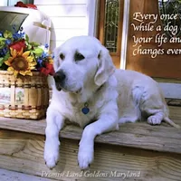 processed/ae91ab19-eda5-42d2-a0b0-9e625e960758/facility/309fe823-bfa5-44ed-8bb4-a95a7f46962c