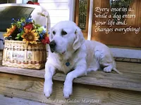 processed/ae91ab19-eda5-42d2-a0b0-9e625e960758/facility/309fe823-bfa5-44ed-8bb4-a95a7f46962c