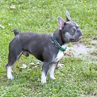 processed/ae91ab19-eda5-42d2-a0b0-9e625e960758/facility/43fec502-3868-4405-b1ce-c91331ae0484