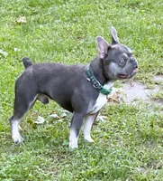 processed/ae91ab19-eda5-42d2-a0b0-9e625e960758/facility/43fec502-3868-4405-b1ce-c91331ae0484