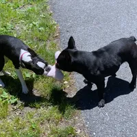 processed/ae91ab19-eda5-42d2-a0b0-9e625e960758/facility/44da551b-4a90-4b8e-a69a-8998c0e1602a