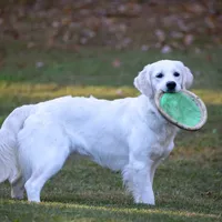 processed/ae91ab19-eda5-42d2-a0b0-9e625e960758/facility/a0ec7f84-56a1-44c8-8c80-d7efe59e06b2