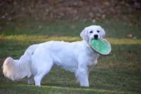 processed/ae91ab19-eda5-42d2-a0b0-9e625e960758/facility/a0ec7f84-56a1-44c8-8c80-d7efe59e06b2