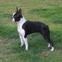 processed/ae91ab19-eda5-42d2-a0b0-9e625e960758/facility/aae279c6-76a3-40d0-9bfa-f8ad3cb7d5aa