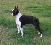 processed/ae91ab19-eda5-42d2-a0b0-9e625e960758/facility/aae279c6-76a3-40d0-9bfa-f8ad3cb7d5aa