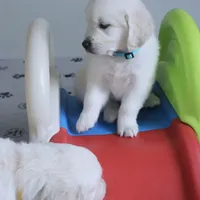 processed/ae91ab19-eda5-42d2-a0b0-9e625e960758/facility/cd0caa30-241a-4303-bb69-8c5de9bdd117