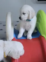 processed/ae91ab19-eda5-42d2-a0b0-9e625e960758/facility/cd0caa30-241a-4303-bb69-8c5de9bdd117