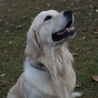 processed/ae91ab19-eda5-42d2-a0b0-9e625e960758/facility/d11b3db5-3df3-47ad-aea1-387af4382cd9