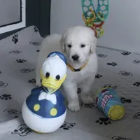 processed/ae91ab19-eda5-42d2-a0b0-9e625e960758/facility/ebbfb18b-a165-409f-9992-2f6c9e0ce852