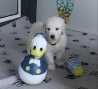 processed/ae91ab19-eda5-42d2-a0b0-9e625e960758/facility/ebbfb18b-a165-409f-9992-2f6c9e0ce852