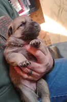 processed/ae9280ed-618a-4636-bc3c-9d67a290db5c/listing/9c6dc3b2-8798-4af5-a344-1c550247cff9/f5fa5ca6-76c9-4018-bf3b-3252981198ef