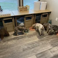 processed/ae97481b-7f68-4687-8a2b-9745e9caa121/facility/21592c73-615c-4951-8d32-147b7c79545a