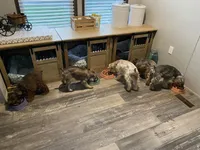 processed/ae97481b-7f68-4687-8a2b-9745e9caa121/facility/21592c73-615c-4951-8d32-147b7c79545a