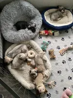 processed/ae97481b-7f68-4687-8a2b-9745e9caa121/facility/40d9bb64-a479-4d8f-8812-e1874dbd87f7