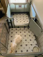 processed/ae97481b-7f68-4687-8a2b-9745e9caa121/facility/532951ae-7d7e-4a7c-ad26-9eb3d26b2e57