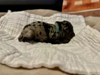 processed/ae97481b-7f68-4687-8a2b-9745e9caa121/listing/cbf1819d-2c9f-4d10-b847-571d745195c4/e5c4d901-9db5-45d1-85eb-c6f46b7542fb