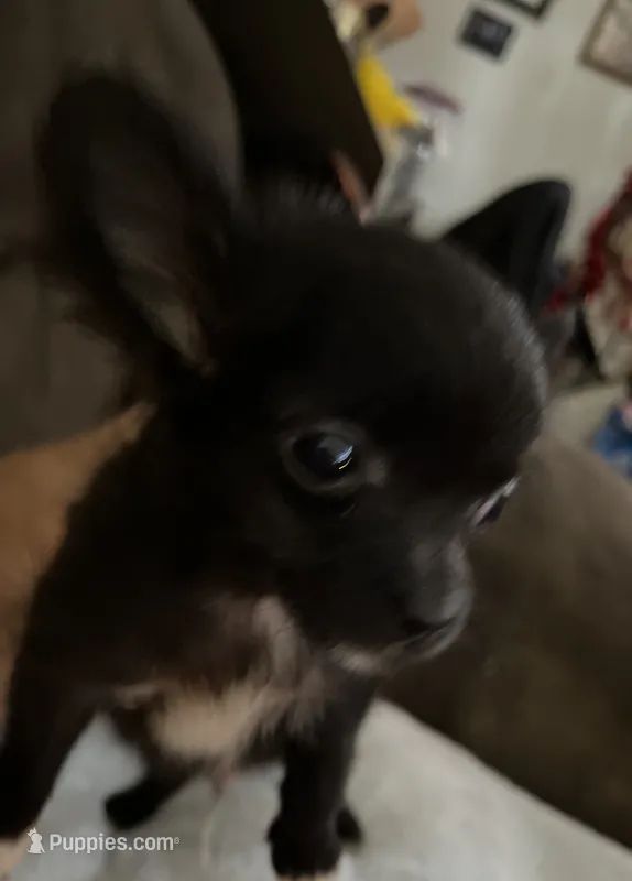 Ready Now , Baby boy