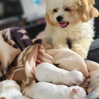 processed/aea4e907-f769-48a8-8875-1ecba8d005ee/facility/092ad3fc-57db-424d-9cab-afc539db3d32