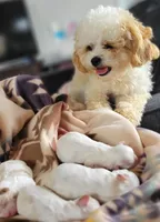 processed/aea4e907-f769-48a8-8875-1ecba8d005ee/facility/092ad3fc-57db-424d-9cab-afc539db3d32