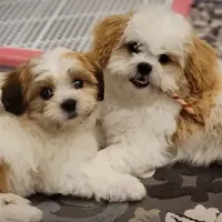 processed/aea4e907-f769-48a8-8875-1ecba8d005ee/facility/18462ee7-ca1c-4927-a2c0-037e50e66546