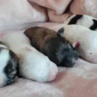 processed/aea4e907-f769-48a8-8875-1ecba8d005ee/facility/36e67fb5-15cc-4eaf-8e5c-830e9f2d68c4