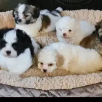 processed/aea4e907-f769-48a8-8875-1ecba8d005ee/facility/48c1411a-383c-4615-989c-5ca51719458a