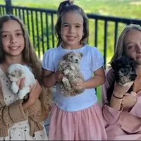 processed/aea4e907-f769-48a8-8875-1ecba8d005ee/facility/4f153827-b0ec-47c0-b5ae-042ba6ba333f