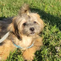 processed/aea4e907-f769-48a8-8875-1ecba8d005ee/facility/52159981-a4ef-4fa3-9a4d-1c080f45c977