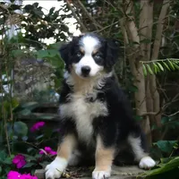 processed/aea4e907-f769-48a8-8875-1ecba8d005ee/facility/6422757c-faa2-4856-b0d5-d22a45618d3a