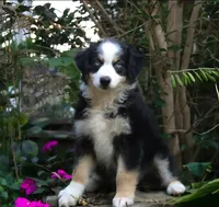 processed/aea4e907-f769-48a8-8875-1ecba8d005ee/facility/6422757c-faa2-4856-b0d5-d22a45618d3a