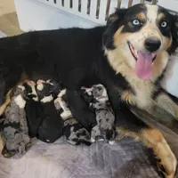 processed/aea4e907-f769-48a8-8875-1ecba8d005ee/facility/812bad12-71dc-443f-8ddd-3cb9efbb0c14