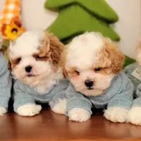 processed/aea4e907-f769-48a8-8875-1ecba8d005ee/facility/8ec79cb9-b715-4bad-80f6-76f03191192f