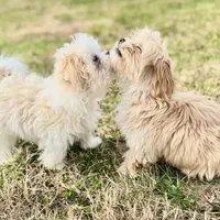 processed/aea4e907-f769-48a8-8875-1ecba8d005ee/facility/ad931b16-0cc3-4862-94ef-ea2e9c1e9b91