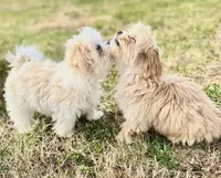 processed/aea4e907-f769-48a8-8875-1ecba8d005ee/facility/ad931b16-0cc3-4862-94ef-ea2e9c1e9b91