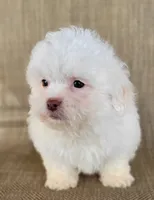 processed/aea4e907-f769-48a8-8875-1ecba8d005ee/listing/30a5d5c7-df12-41ba-b71b-13d18246b5c5/4105f6ca-f45a-4d27-9642-9062f4ee83e7