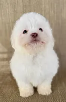 processed/aea4e907-f769-48a8-8875-1ecba8d005ee/listing/30a5d5c7-df12-41ba-b71b-13d18246b5c5/a77f1a14-caaf-4e1e-aa41-1f534a346aca