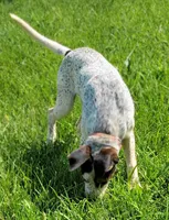 processed/aea4e907-f769-48a8-8875-1ecba8d005ee/listing/b7adb8d3-35b9-4efb-b9df-9bb8be4dc342/2f0855f3-2b6d-4781-ba4d-d970995aca71