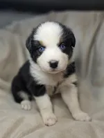 processed/aea725df-222f-4d60-abb1-73653cd97e9c/listing/104f04e2-0cb7-43d7-b94a-5fc0718531bc/01a41756-d2f7-4c33-9bbd-97cb3a7a0c31