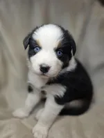 processed/aea725df-222f-4d60-abb1-73653cd97e9c/listing/104f04e2-0cb7-43d7-b94a-5fc0718531bc/78e4ef56-5b1f-4959-b37f-615e843b945f