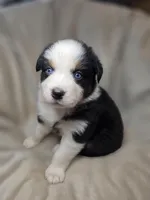 processed/aea725df-222f-4d60-abb1-73653cd97e9c/listing/104f04e2-0cb7-43d7-b94a-5fc0718531bc/89187824-4ea0-4dfe-8e6d-25b7c6ddb6ec