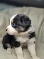 processed/aea725df-222f-4d60-abb1-73653cd97e9c/listing/104f04e2-0cb7-43d7-b94a-5fc0718531bc/934abd94-b888-489c-ad34-1bbe9e2d222e